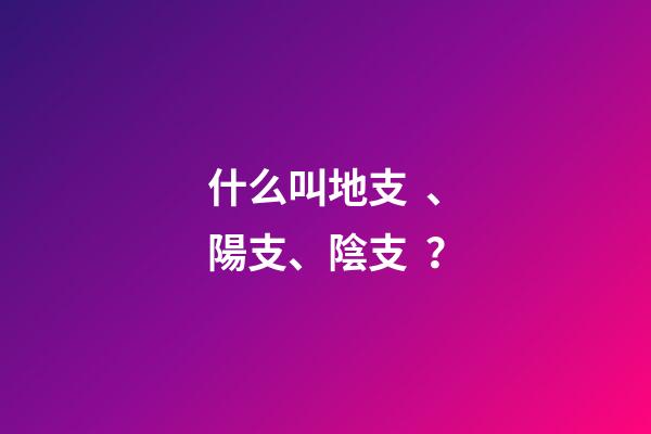 什么叫地支、陽支、陰支？